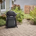 Weber Q 2800N+ w/Cart 2 Burner Grill - Image 2
