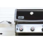 Weber Spirit E-310 - Image 6