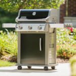 Weber Spirit E-310 - Image 7