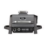 Woodfire Electric BBQ Grill & Smoker