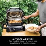 Woodfire Electric BBQ Grill & Smoker - Image 7