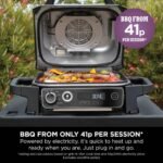 Woodfire Electric BBQ Grill & Smoker - Image 8