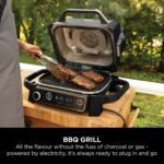 Woodfire Electric BBQ Grill & Smoker - Image 9