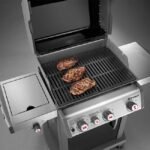 Weber Spirit E-330 - Image 4