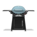 Weber Q 2800N+ w/Cart 2 Burner Grill